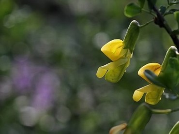 ai换脸视频生成器