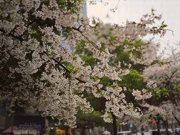 两根茎擦一个洞好视频