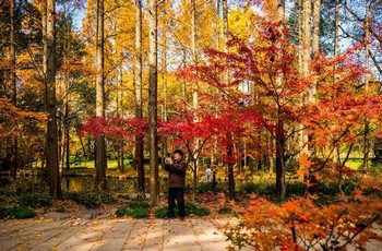 忘忧草实验室实验所