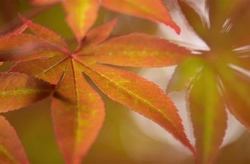 给八岁小男孩洗淋浴视频