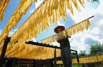 苹果高清完整观看