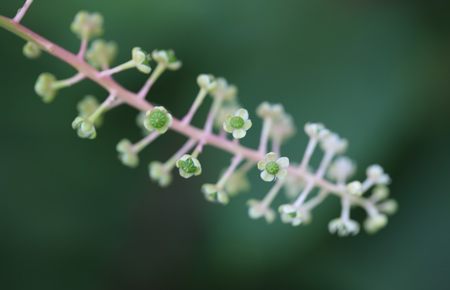 葫芦娃官方在线入口